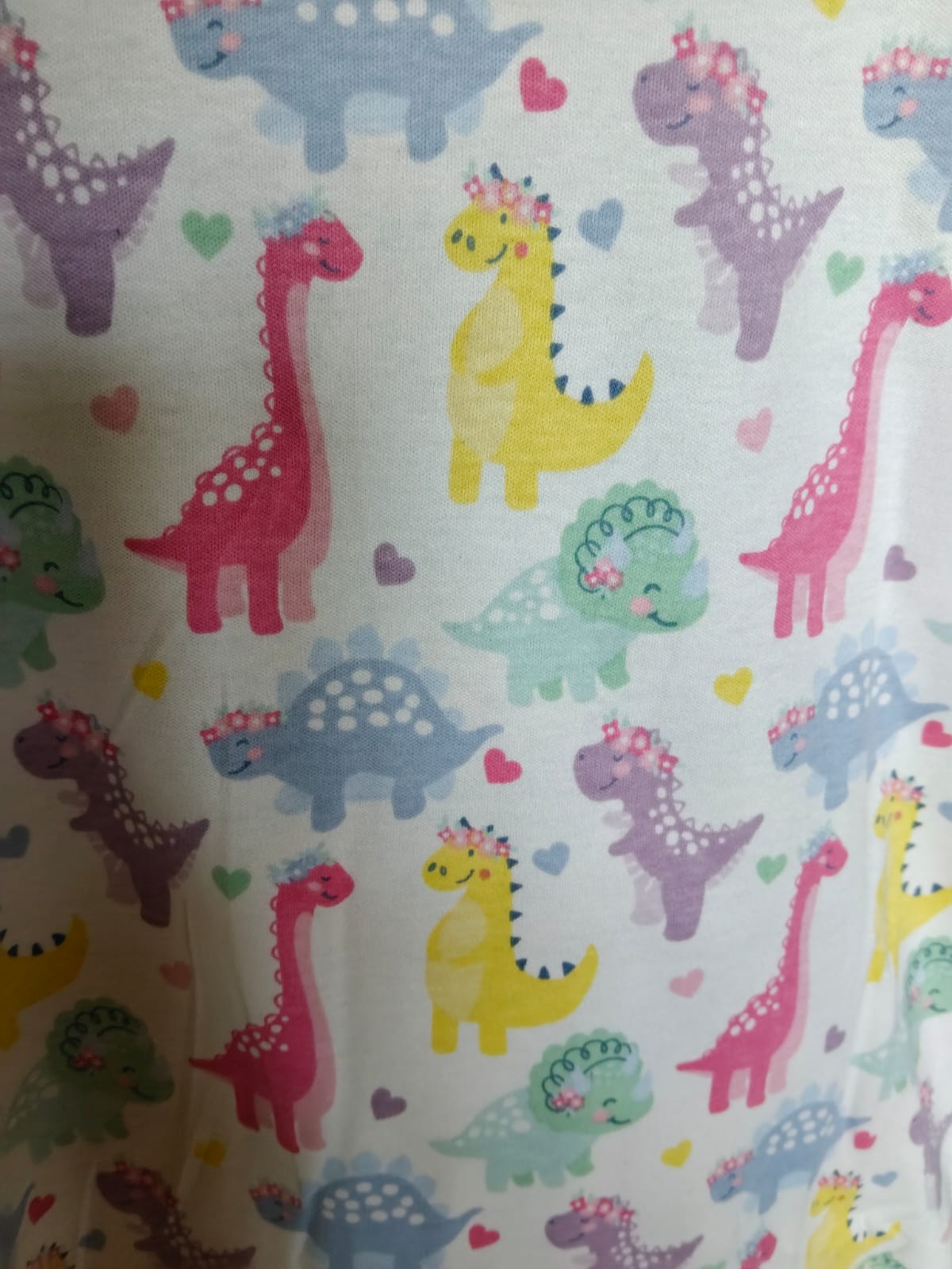 Dino Delight loungewear for women